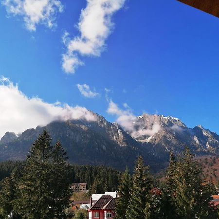 Casa Magica Busteni Bagian luar foto