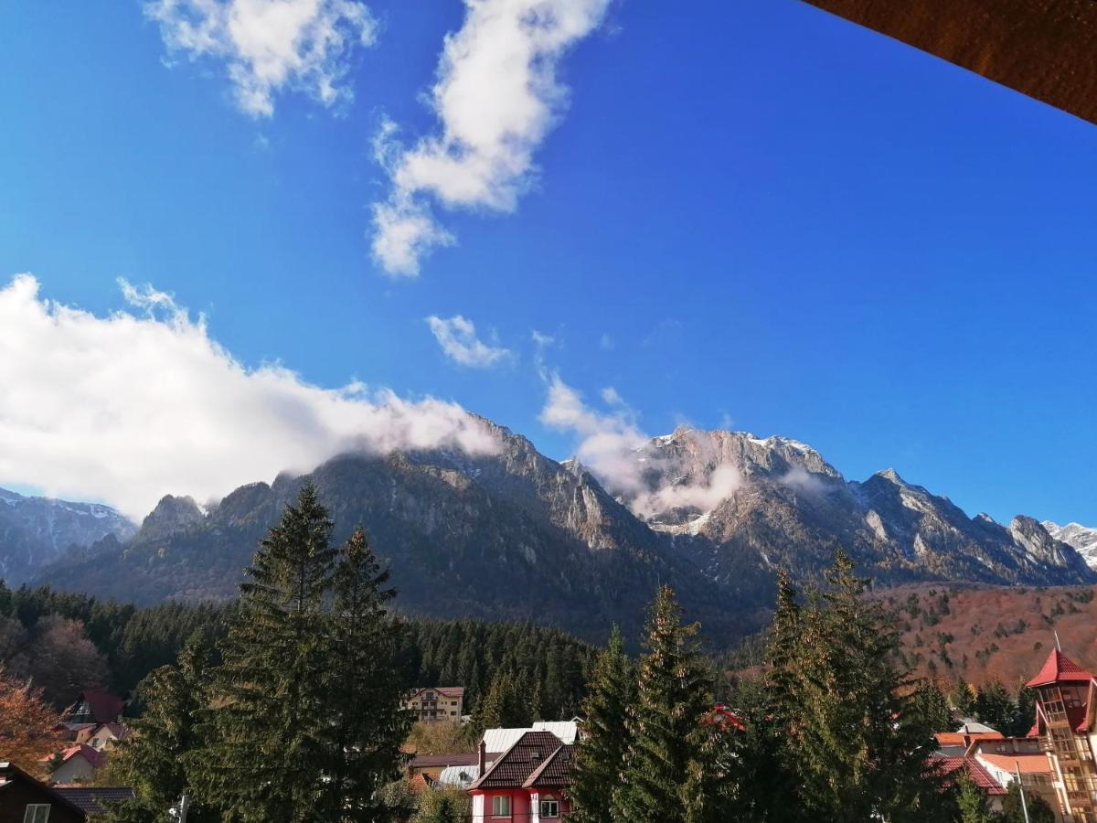 Casa Magica Busteni Bagian luar foto